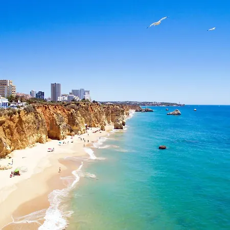 Amparo In Apartament *