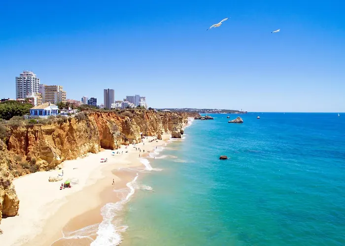 Amparo In Apartament *